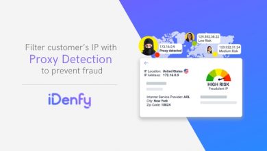 Photo of Lithuanian Tech Startup iDenfy Announces Launches Proxy Detection