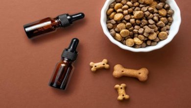 Photo of How to Buy CBD Oil for Dogs?