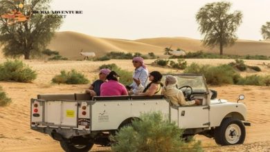 Photo of Booking desert safari events