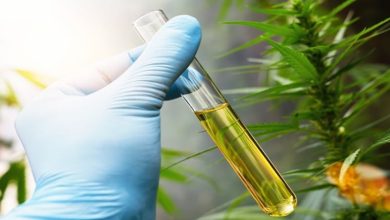 Photo of How to extract CBD – Extraction system and the way to make CBD oil