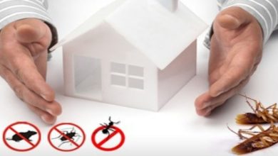 Photo of Things to Know About Pest Control Professionals