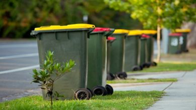 Photo of Curbside Recycling: How to Increase the Chances of Success